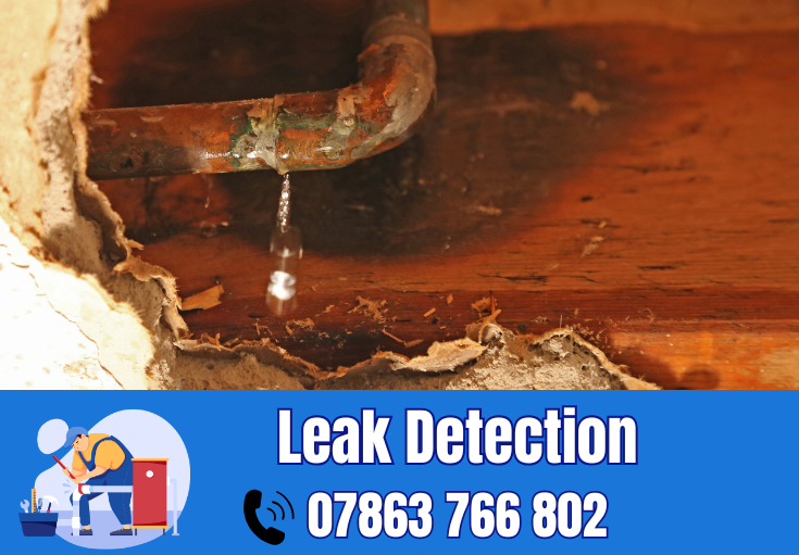 leak detection Great Sankey