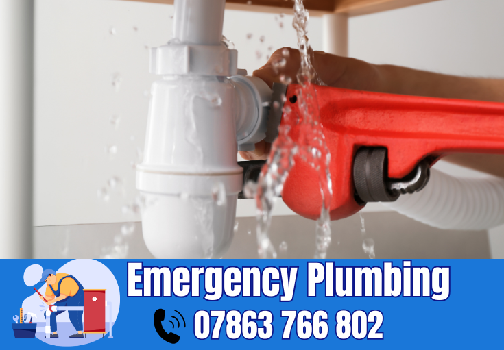  plumber Penketh