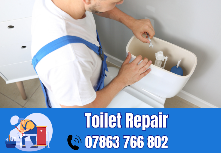 toilet repair Great Sankey